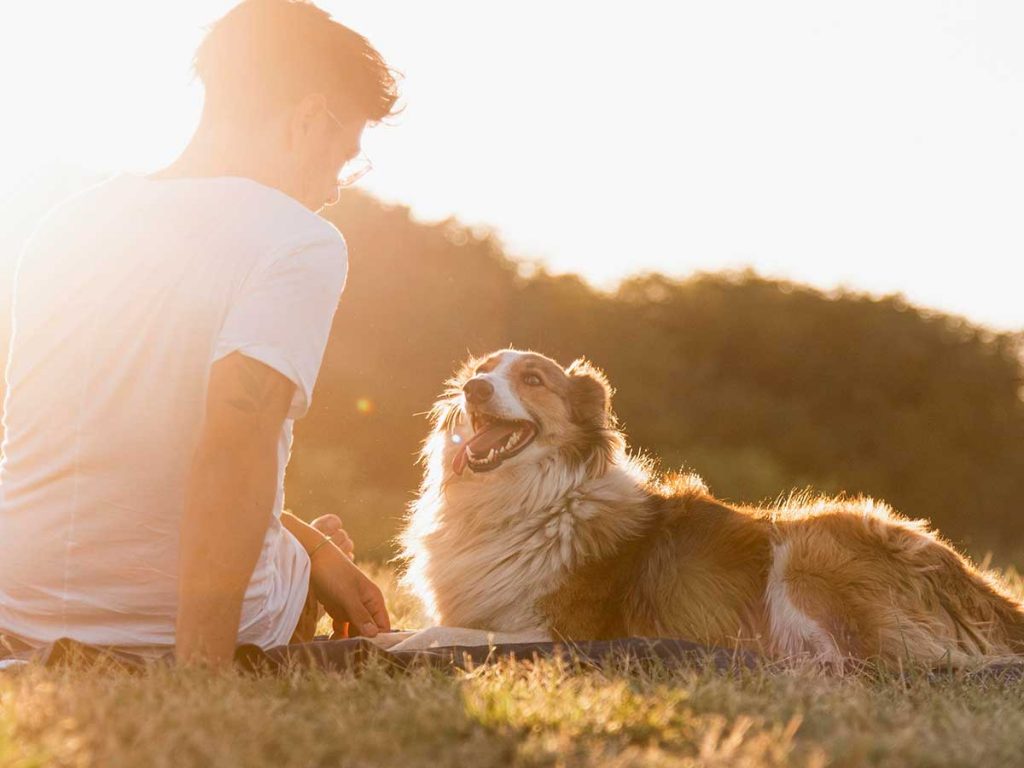 Human and dog relaxing in a field | Spirtual Penicillin - A Dog Story from Share The Gift's weekly newsletter The Message